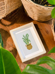 12 Mini Broderies Diamants - Plantes d'Intérieur