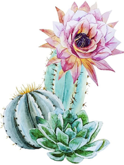 Broderie Diamant - Cactus en Fleurs 6