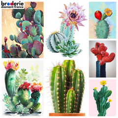 Broderie Diamant - Cactus en Fleurs