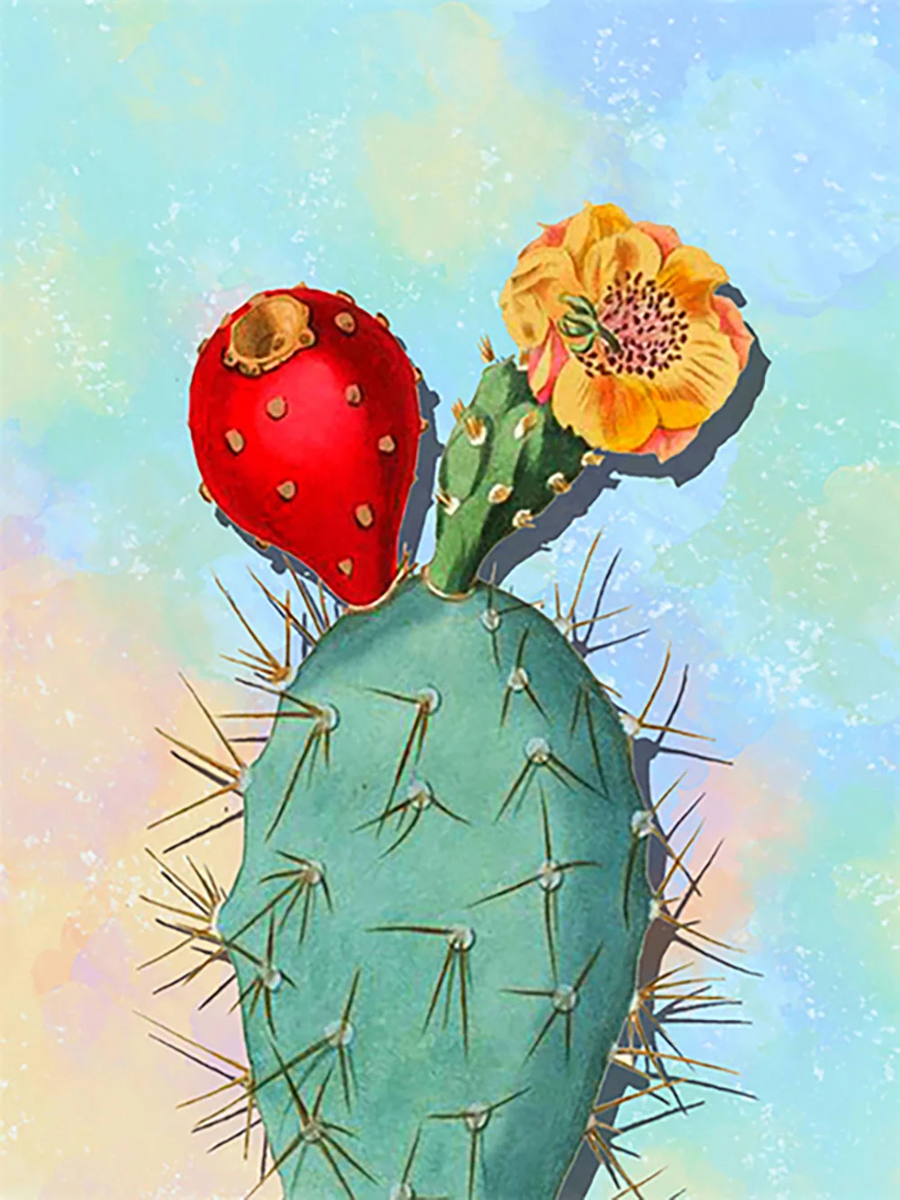 Broderie Diamant - Cactus en Fleurs 3