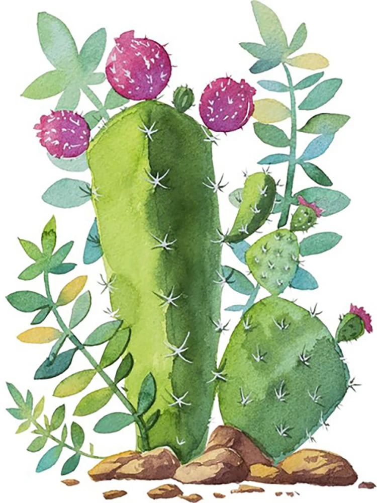 Broderie Diamant - Cactus en Fleurs 11