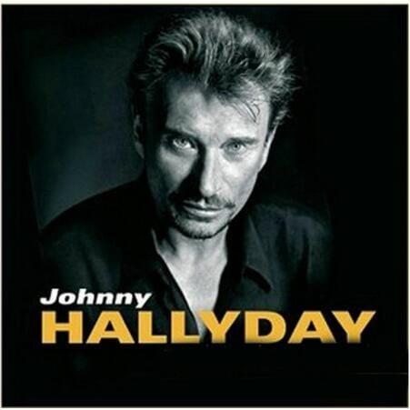 Broderie Diamant - Johnny Halliday  4