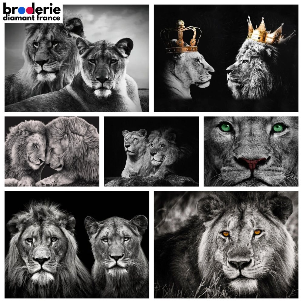 Broderie Diamant - Lions en Noir et Blanc