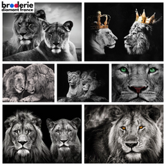 Broderie Diamant - Lions en Noir et Blanc