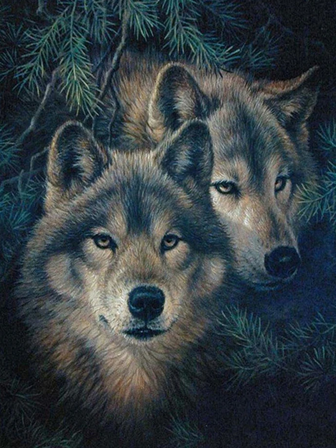 Broderie Diamant - Loups Mystérieux  5