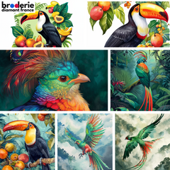 Broderie Diamant - Oiseaux Tropicaux