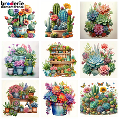 Broderie Diamant - Ravissantes Succulentes